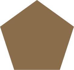 Brown polygon